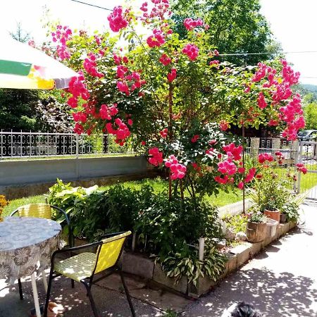 Apartman Vesna オヴチャル・バニャ エクステリア 写真