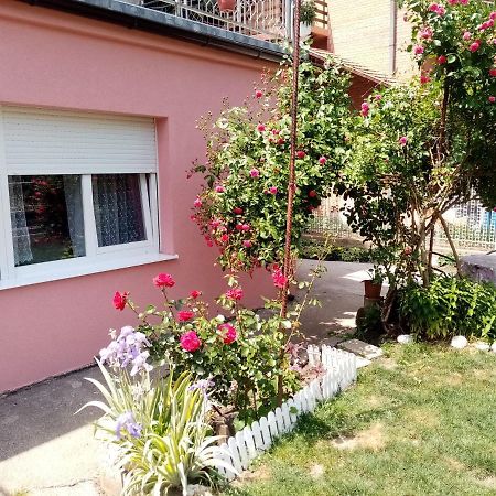 Apartman Vesna オヴチャル・バニャ エクステリア 写真