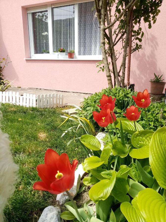 Apartman Vesna オヴチャル・バニャ エクステリア 写真